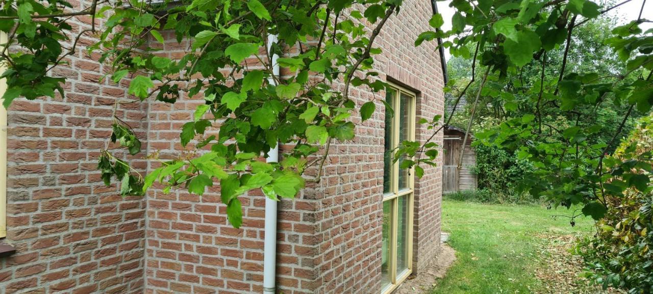 Forestview 'Queenstown' 6 Pers Very Child-Friendly By Kawatea Cottages (Adults Only) Ewijk Buitenkant foto