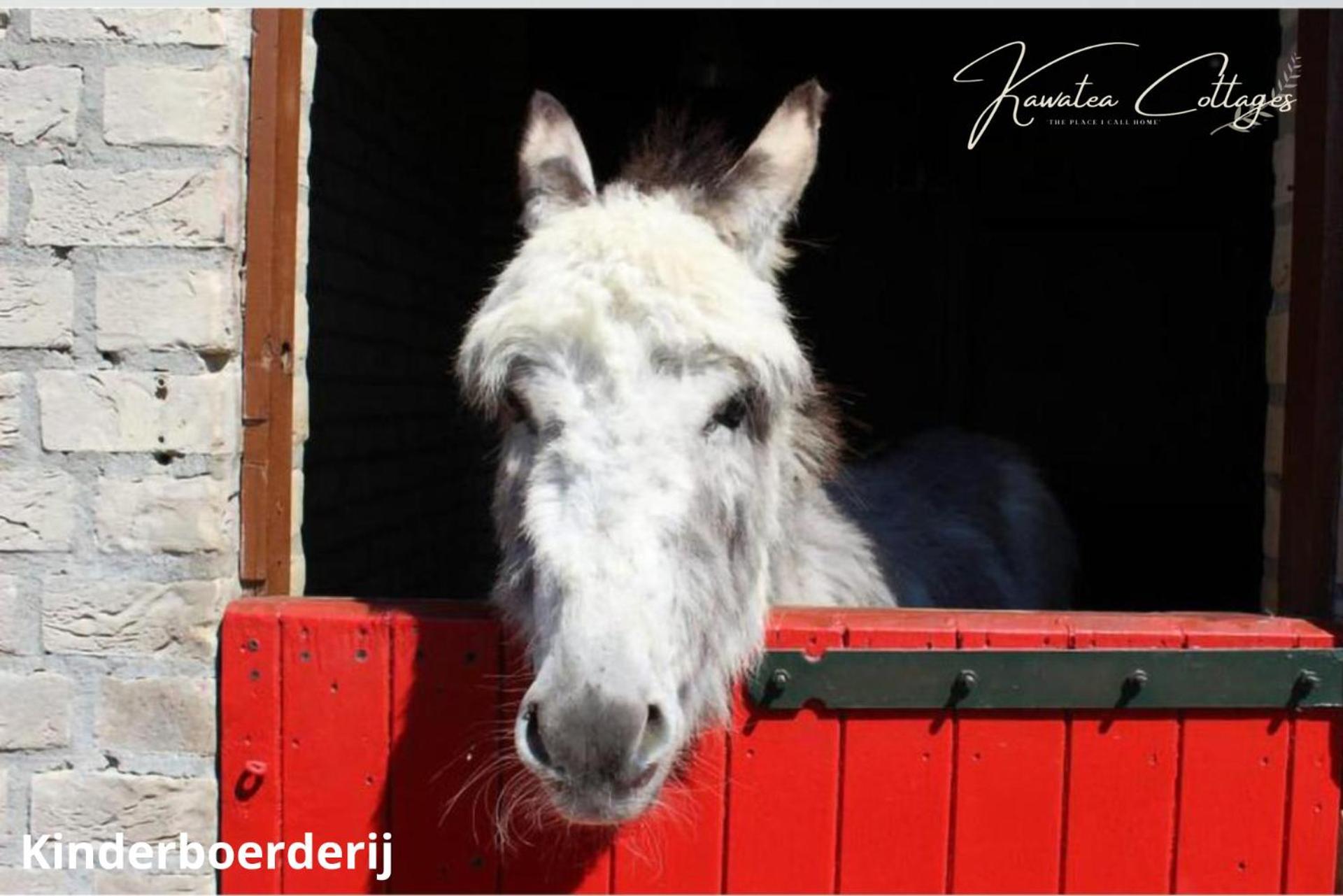 Forestview 'Queenstown' 6 Pers Very Child-Friendly By Kawatea Cottages (Adults Only) Ewijk Buitenkant foto